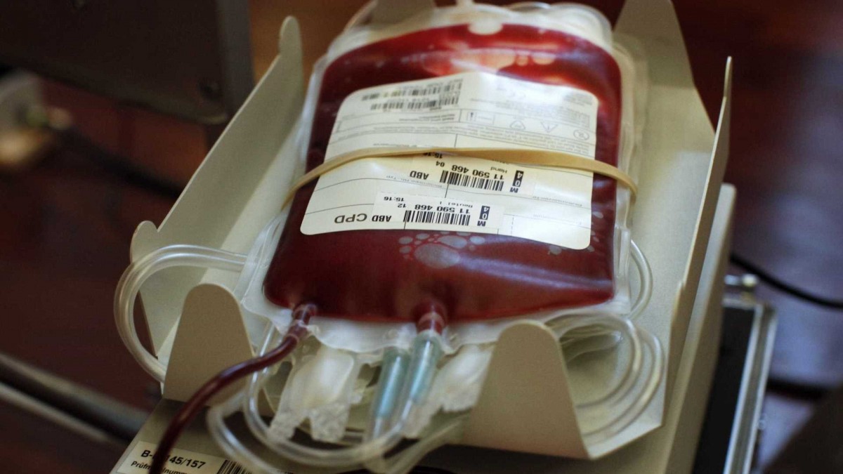 Inca incentiva doação de sangue com bloco